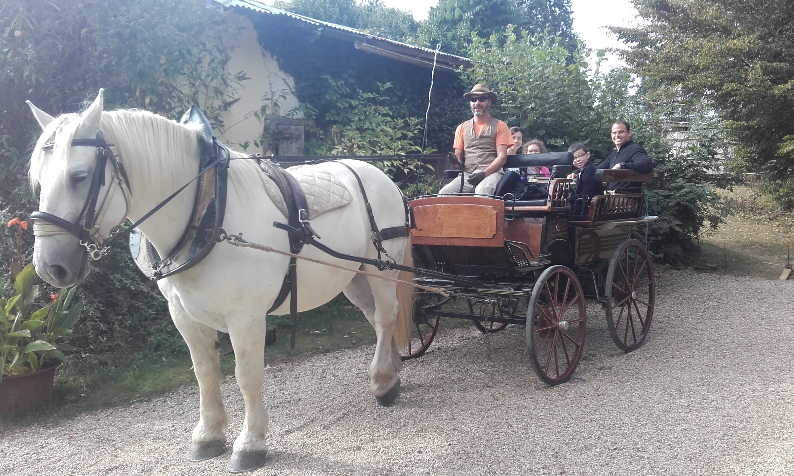 2 magnifiques chevaux blancs, une grande calèche..